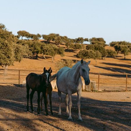 Herdade Da Caniceira Ervedal エクステリア 写真