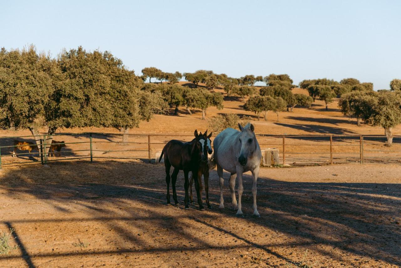 Herdade Da Caniceira Ervedal エクステリア 写真